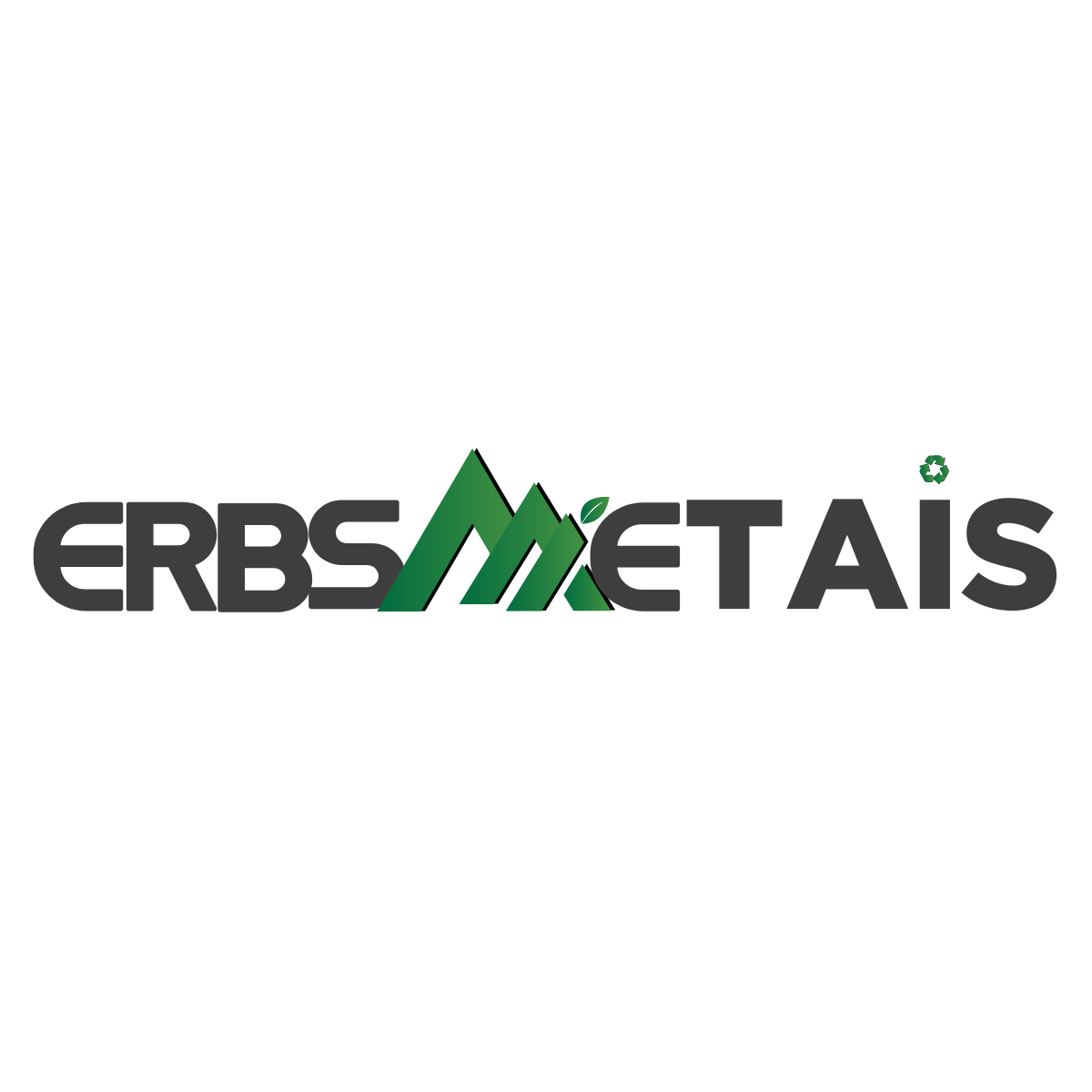 Logo da empresa ERBS ENERGIA