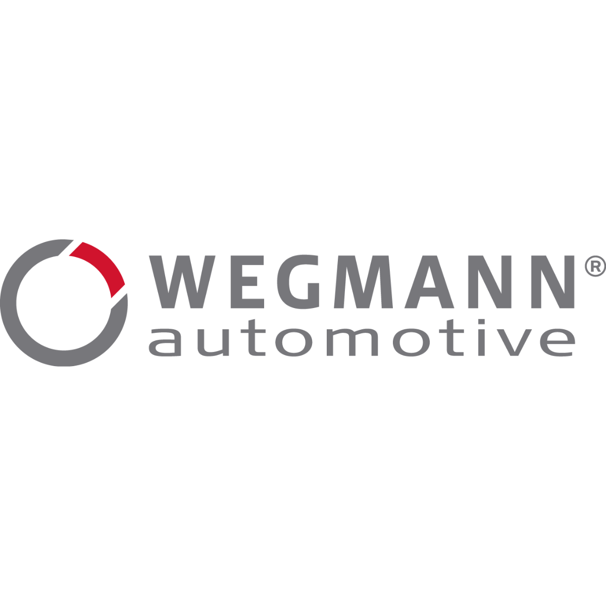 Logo da empresa WEGMANN