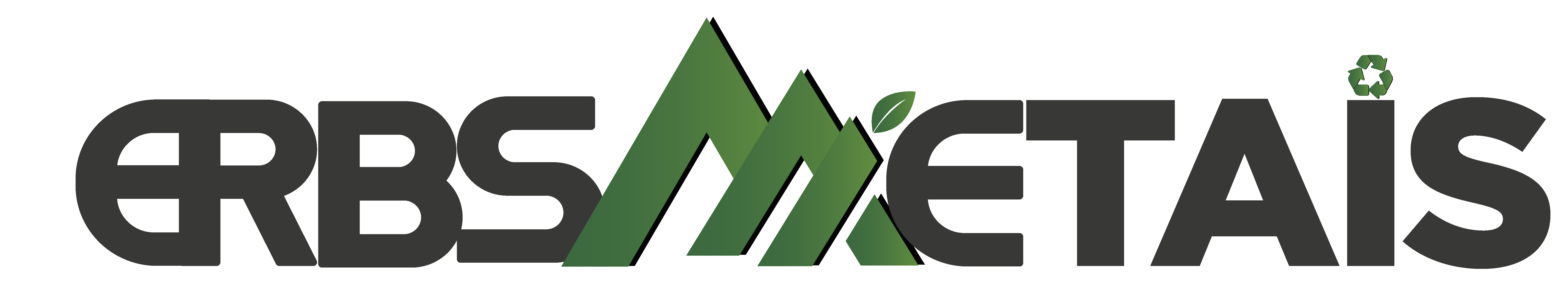 Logo da empresa ERBS ENERGIA